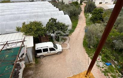 Antalya Kumluca Satılık Üretim Çiftliği 42.500.000 TL