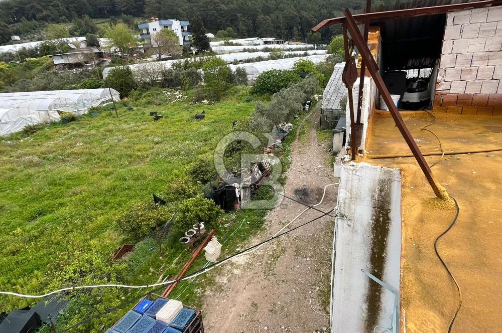 Antalya Kumluca Satılık Üretim Çiftliği 42.500.000 TL