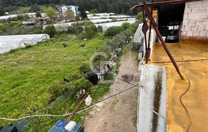 Antalya Kumluca Satılık Üretim Çiftliği 42.500.000 TL