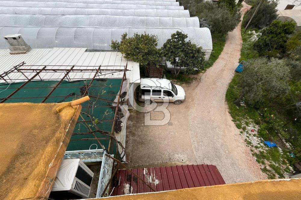 Antalya Kumluca Satılık Üretim Çiftliği 42.500.000 TL