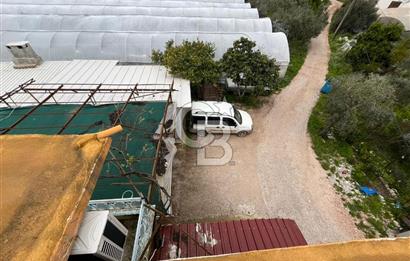 Antalya Kumluca Satılık Üretim Çiftliği 42.500.000 TL