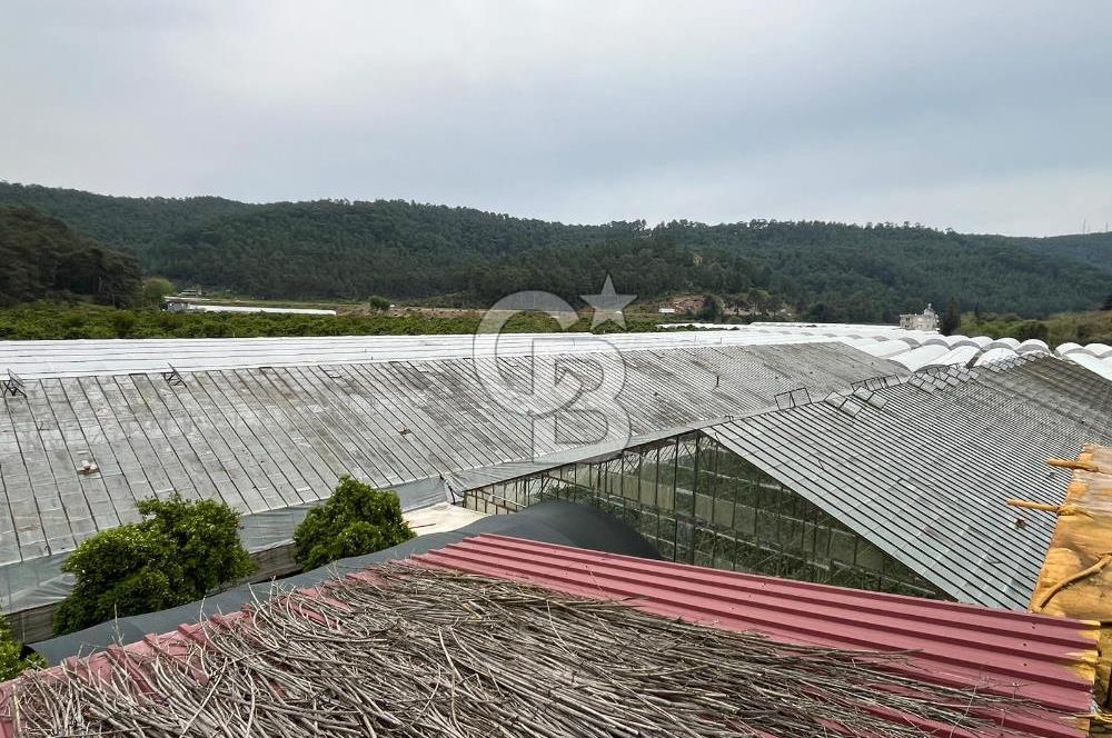 Antalya Kumluca Satılık Üretim Çiftliği 42.500.000 TL