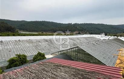 Antalya Kumluca Satılık Üretim Çiftliği 42.500.000 TL