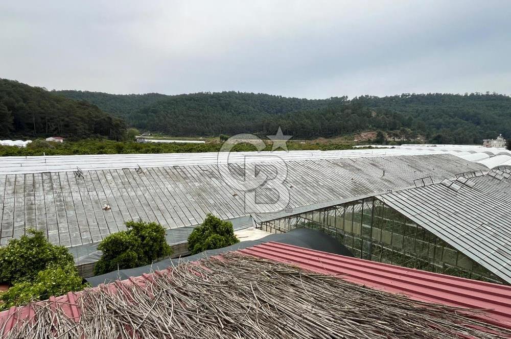 Antalya Kumluca Satılık Üretim Çiftliği 42.500.000 TL