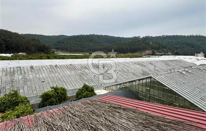 Antalya Kumluca Satılık Üretim Çiftliği 42.500.000 TL