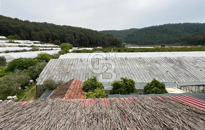 Antalya Kumluca Satılık Üretim Çiftliği 42.500.000 TL