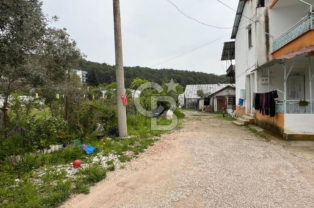 Antalya Kumluca Satılık Üretim Çiftliği 42.500.000 TL