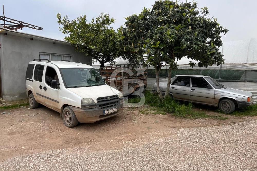 Antalya Kumluca Satılık Üretim Çiftliği 42.500.000 TL