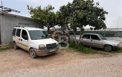 Antalya Kumluca Satılık Üretim Çiftliği 42.500.000 TL