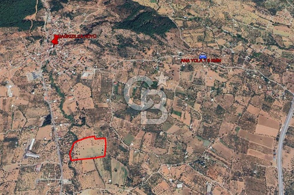 Torbalı Dağkızılca Satılık  Yatırım Ve Çiftlik İçin Uygun Doğa Manzaralı Zeytinlik