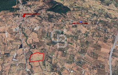 Torbalı Dağkızılca Satılık  Yatırım Ve Çiftlik İçin Uygun Doğa Manzaralı Zeytinlik