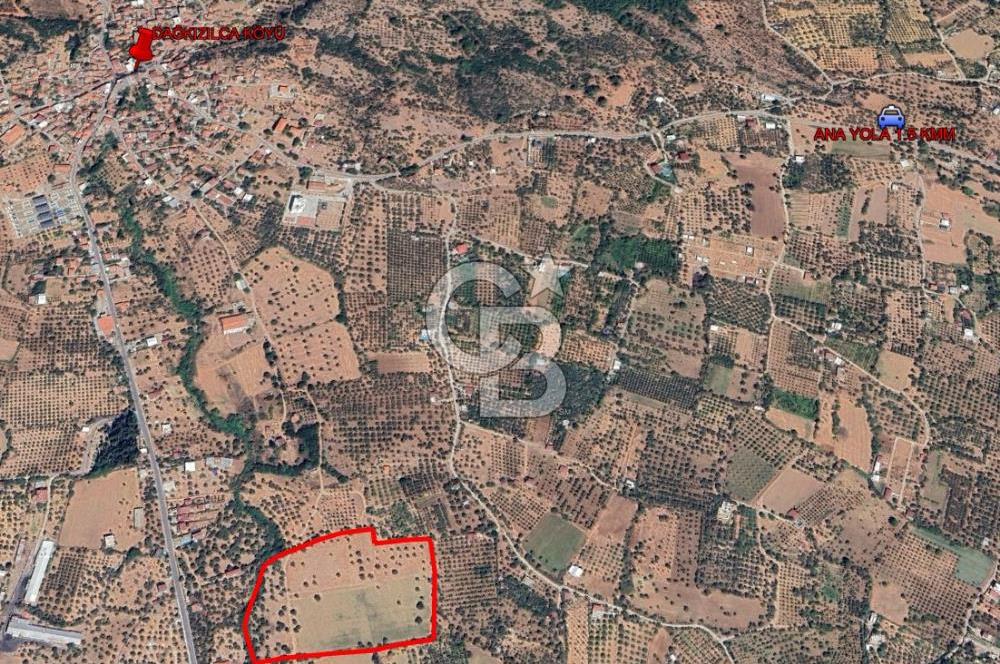 Torbalı Dağkızılca Satılık  Yatırım Ve Çiftlik İçin Uygun Doğa Manzaralı Zeytinlik