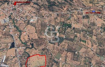 Torbalı Dağkızılca Satılık  Yatırım Ve Çiftlik İçin Uygun Doğa Manzaralı Zeytinlik