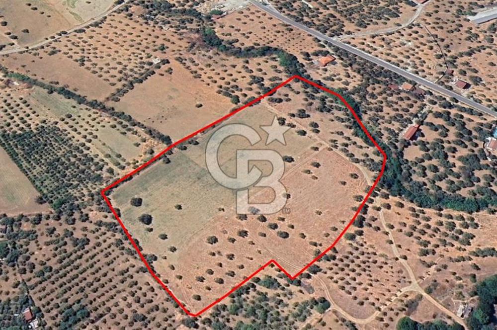 Torbalı Dağkızılca Satılık  Yatırım Ve Çiftlik İçin Uygun Doğa Manzaralı Zeytinlik