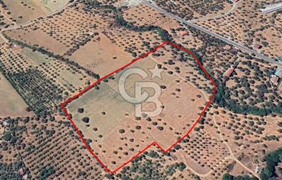 Torbalı Dağkızılca Satılık  Yatırım Ve Çiftlik İçin Uygun Doğa Manzaralı Zeytinlik