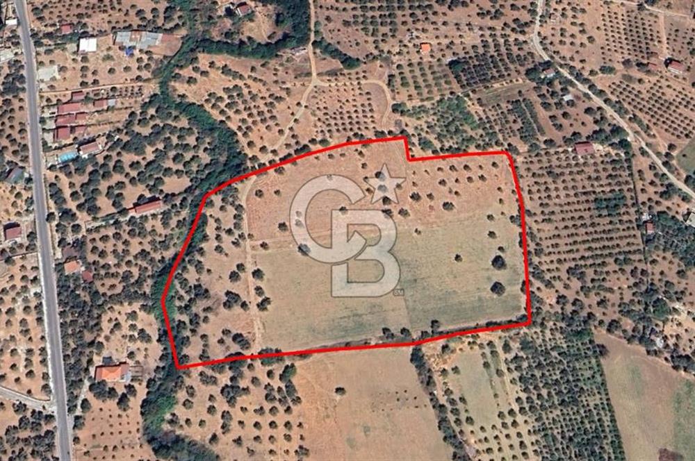 Torbalı Dağkızılca Satılık  Yatırım Ve Çiftlik İçin Uygun Doğa Manzaralı Zeytinlik