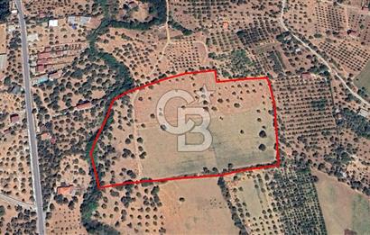 Torbalı Dağkızılca Satılık  Yatırım Ve Çiftlik İçin Uygun Doğa Manzaralı Zeytinlik