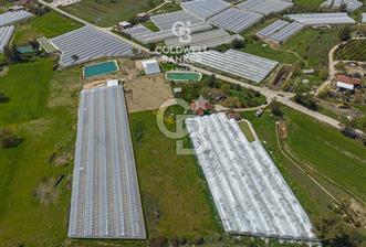 CB ARDENDEN KAŞ DiRGENLER DE SATILIK MÜSTAKiL EV VE SERA - 3 - 344070