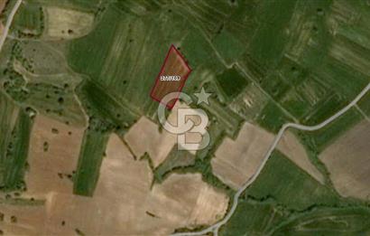 Satılık 6.266 m2 Tarla. Kırklareli Pınarhisar’da uygun fiyatlı yatırım fırsatı.