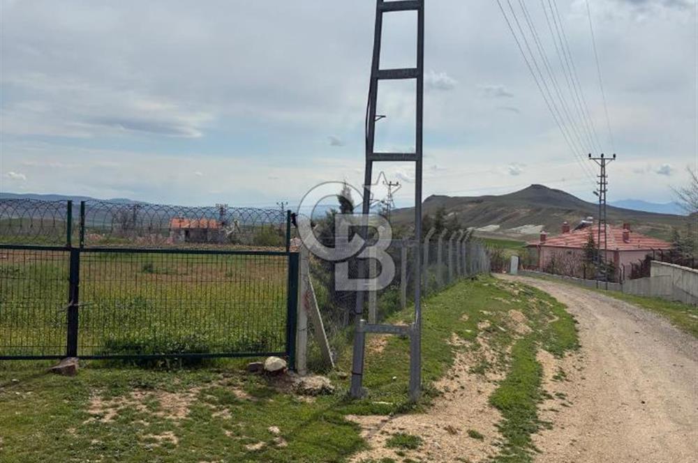 ANKARA POLATLI İĞCİLERDE SATILIK HARMAN YERİ