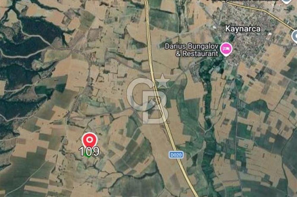 Satılık 6.266 m2 Tarla. Kırklareli Pınarhisar’da uygun fiyatlı yatırım fırsatı.