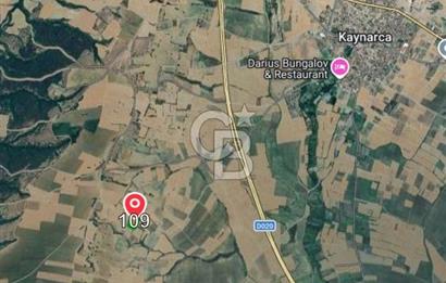 Satılık 6.266 m2 Tarla. Kırklareli Pınarhisar’da uygun fiyatlı yatırım fırsatı.