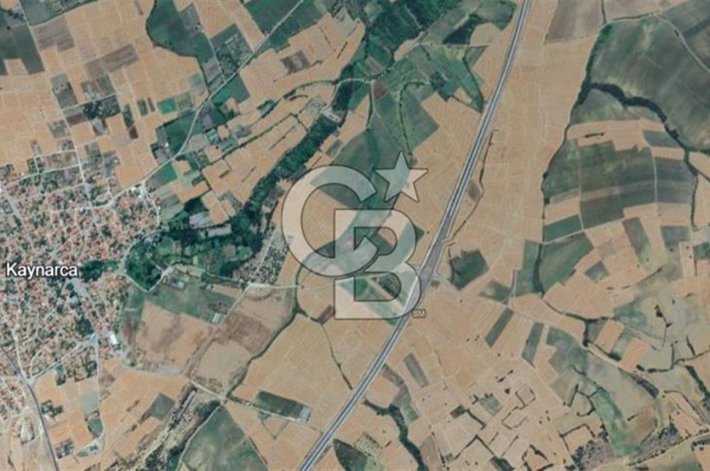 Satılık 6.266 m2 Tarla. Kırklareli Pınarhisar’da uygun fiyatlı yatırım fırsatı.