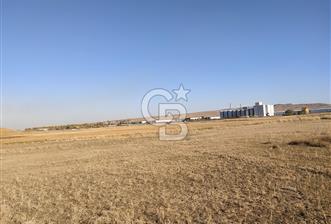 Polatlı'da Ada Bazlı 14 parça Tek Tapu 1035 M2 Villa Arsası - 3 - 344102