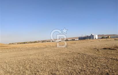 Polatlı'da Ada Bazlı 14 parça Tek Tapu 1035 M2 Villa Arsası