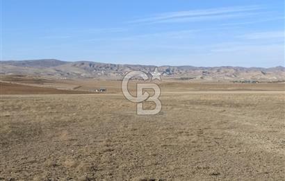 Polatlı'da Ada Bazlı 14 parça Tek Tapu 1035 M2 Villa Arsası