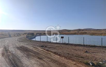 Polatlı'da Ada Bazlı 14 parça Tek Tapu 1035 M2 Villa Arsası