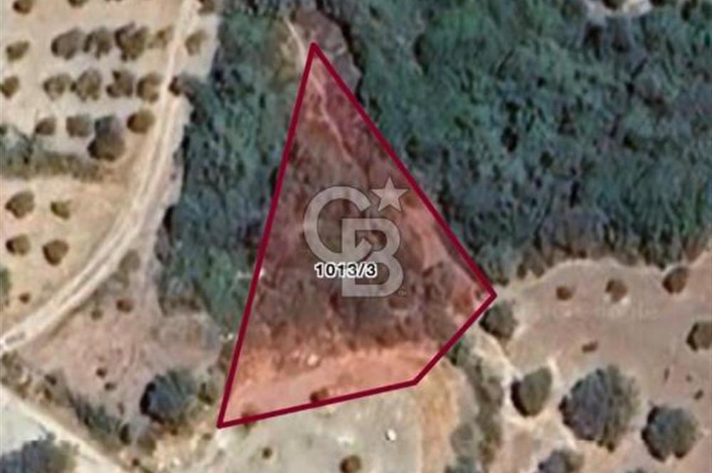 Tek parça büyük güce dönüşecek eşsiz parsel