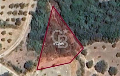 Tek parça büyük güce dönüşecek eşsiz parsel