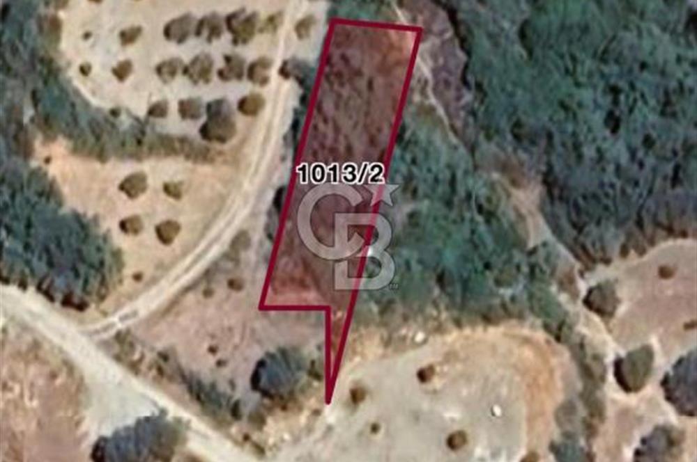 Stratejik yatırımcılar için eşsiz fırsat