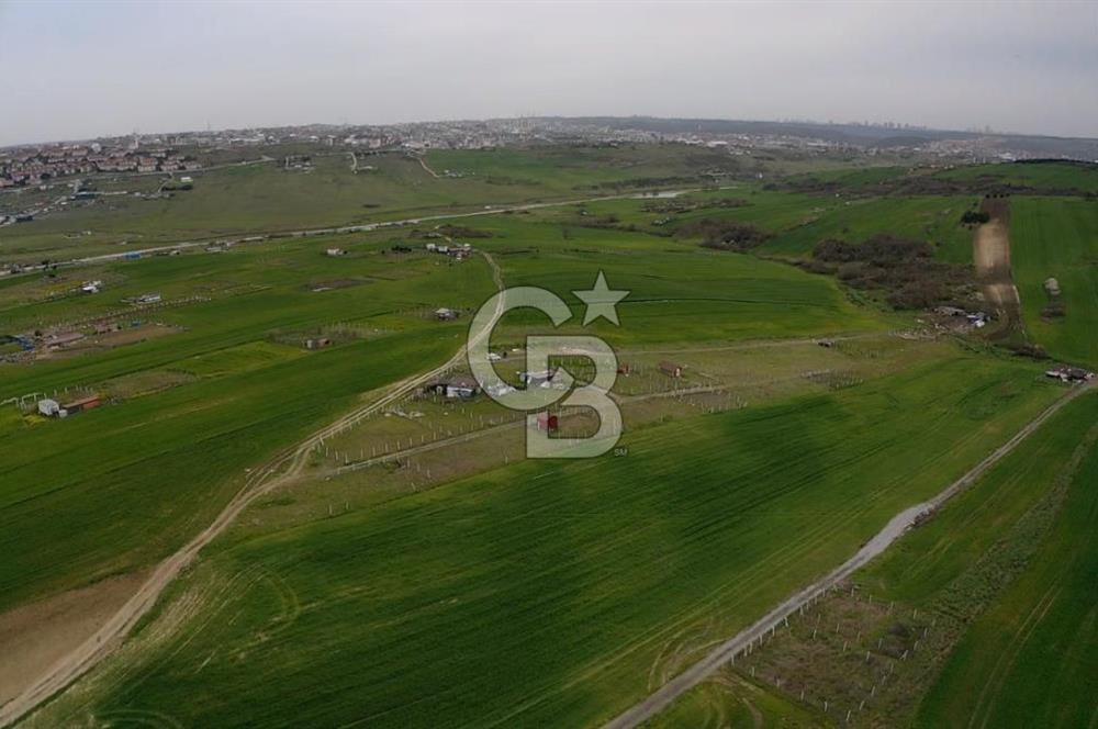 ARNAVUTKÖY HARAÇÇI'DA SATILIK ÇAPLI ÇEVRİLİ 300 METRE ARSA