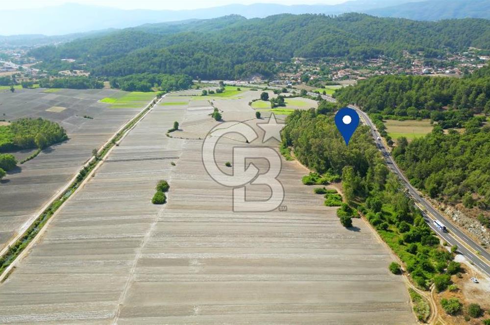 Muğla Ula Sarayyanı'nda Satılık Yatırımlık Tarla