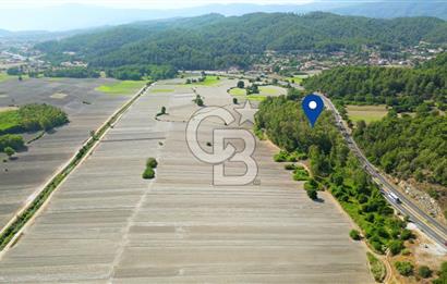 Muğla Ula Sarayyanı'nda Satılık Yatırımlık Tarla