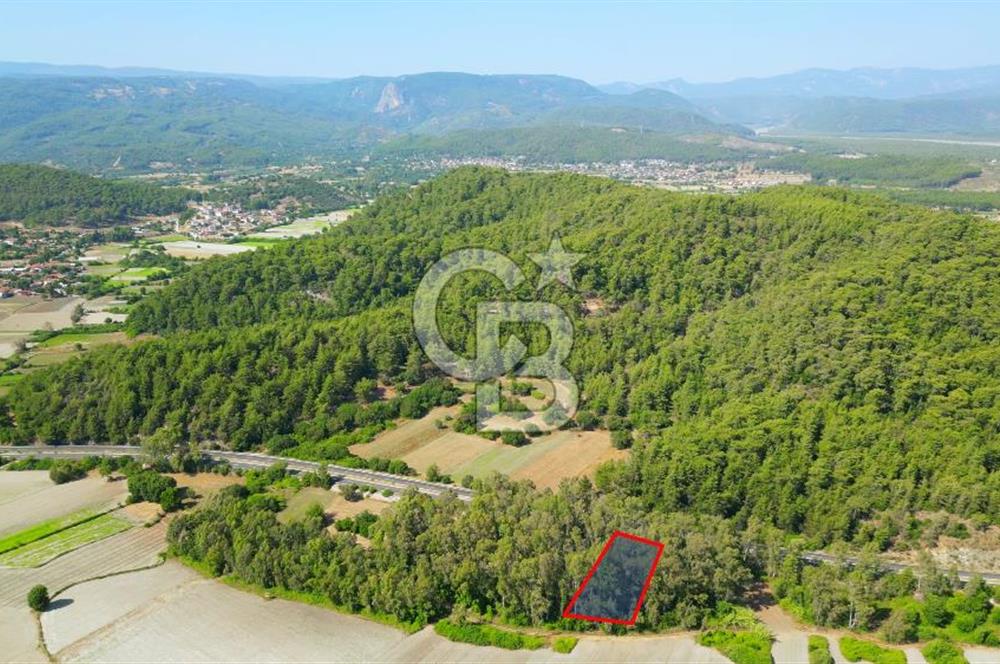 Muğla Ula Sarayyanı'nda Satılık Yatırımlık Tarla