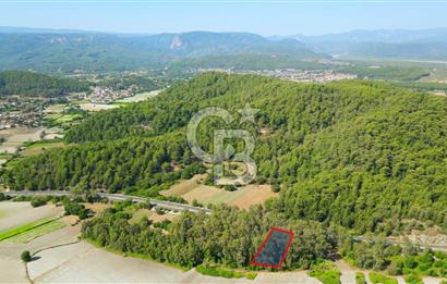 Muğla Ula Sarayyanı'nda Satılık Yatırımlık Tarla