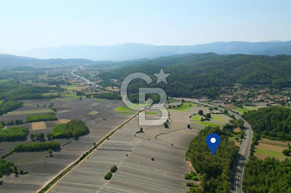 Muğla Ula Sarayyanı'nda Satılık Yatırımlık Tarla