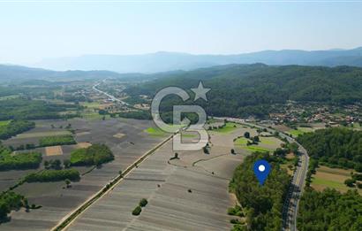 Muğla Ula Sarayyanı'nda Satılık Yatırımlık Tarla