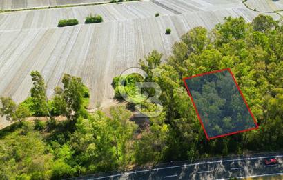 Muğla Ula Sarayyanı'nda Satılık Yatırımlık Tarla