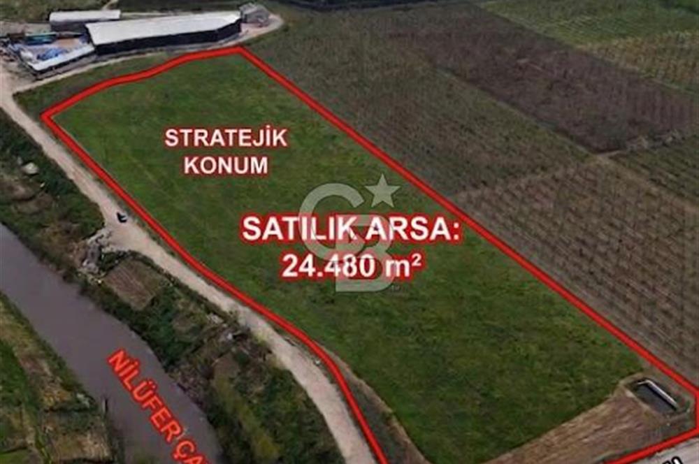 Bursa Osmangazi Yeniceabatta Değerli Konumda Satılık Tarla