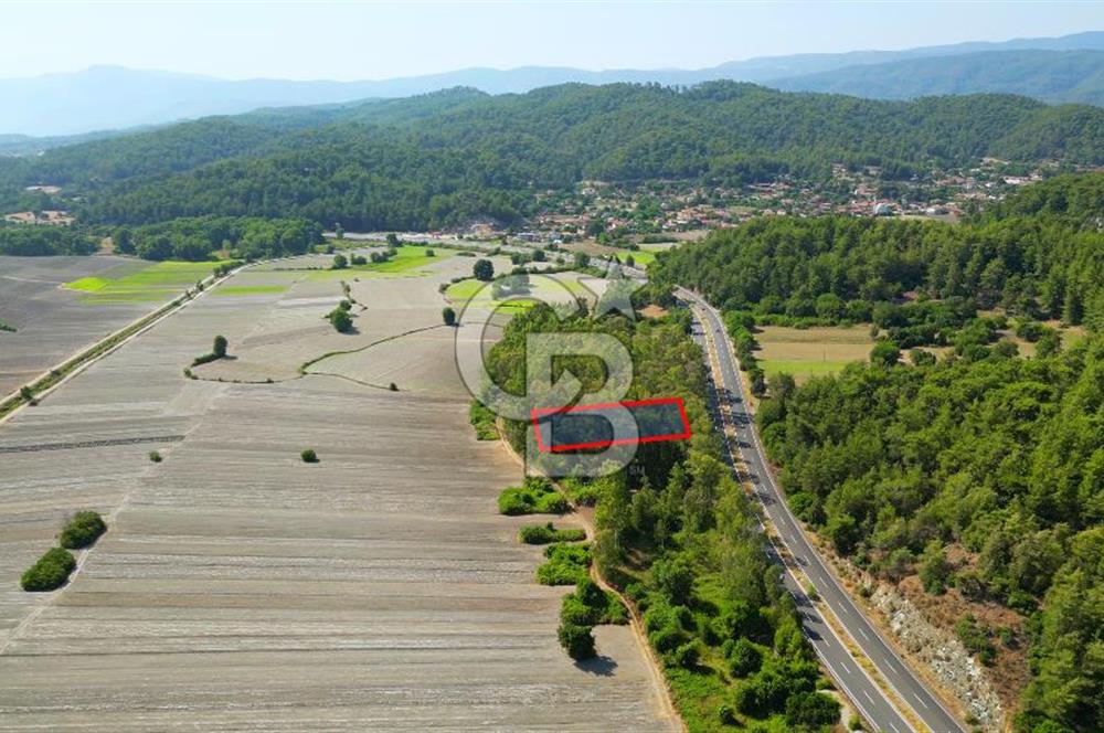 Muğla Ula Sarayyanı'nda Satılık Yatırımlık Tarla