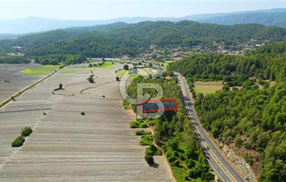 Muğla Ula Sarayyanı'nda Satılık Yatırımlık Tarla