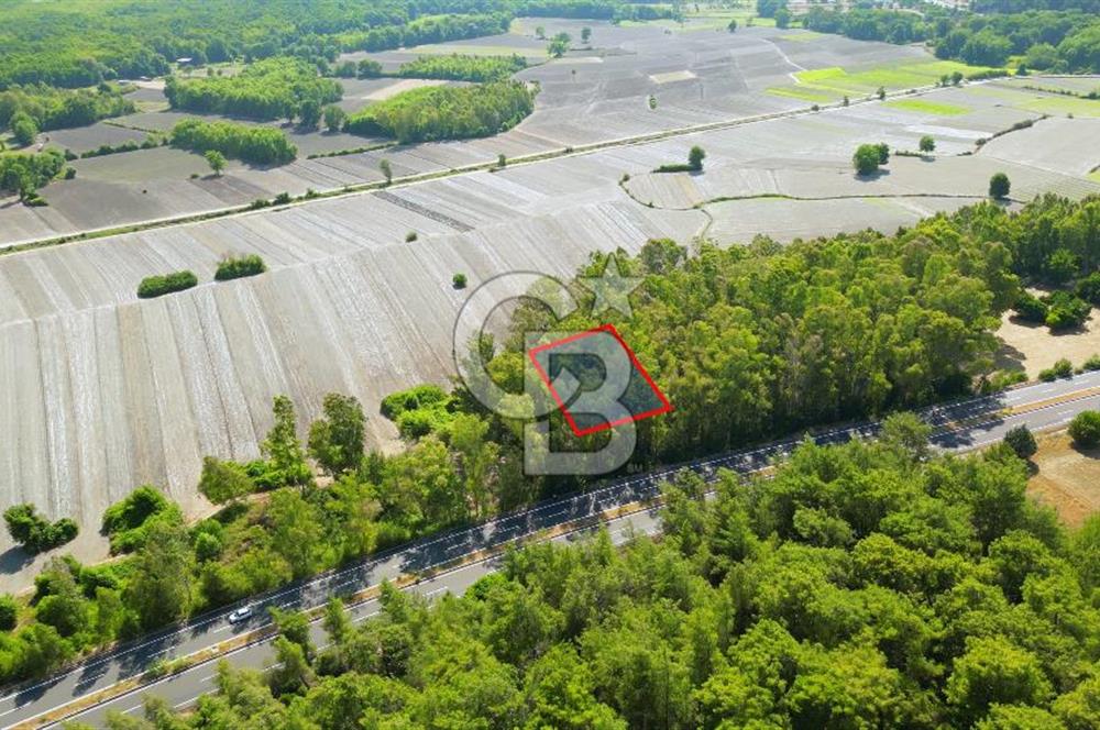 Muğla Ula Sarayyanı'nda Satılık Yatırımlık Tarla