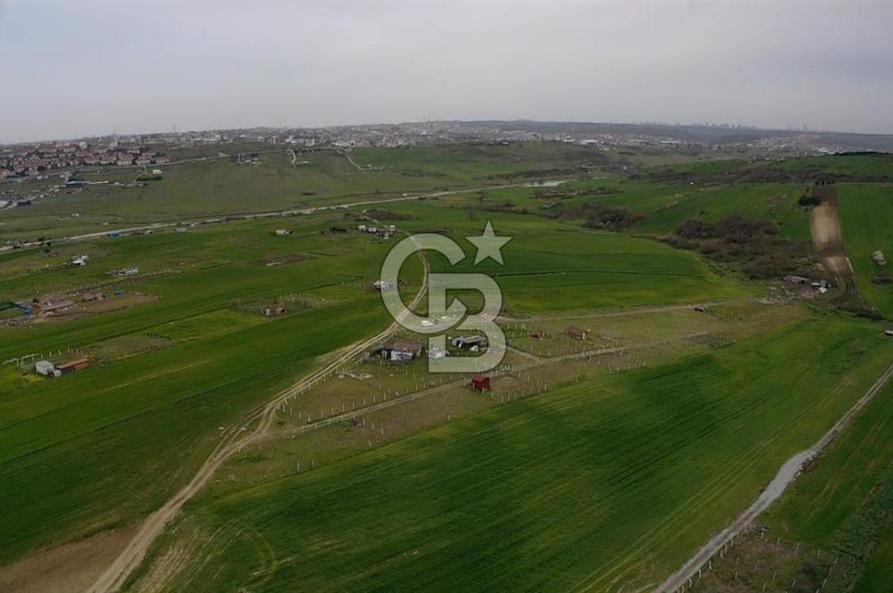 ARNAVUTKÖY HARAÇÇI'DA SATILIK ÇAPLI ÇEVRİLİ 300 METRE ARSA