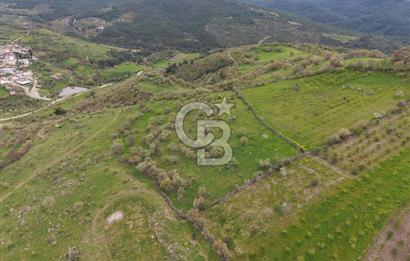 ALİAĞA KÖRFEZİ MANZARALI, ÖZEL KONUM, 15.280 M² YATIRIMLIK TARLA