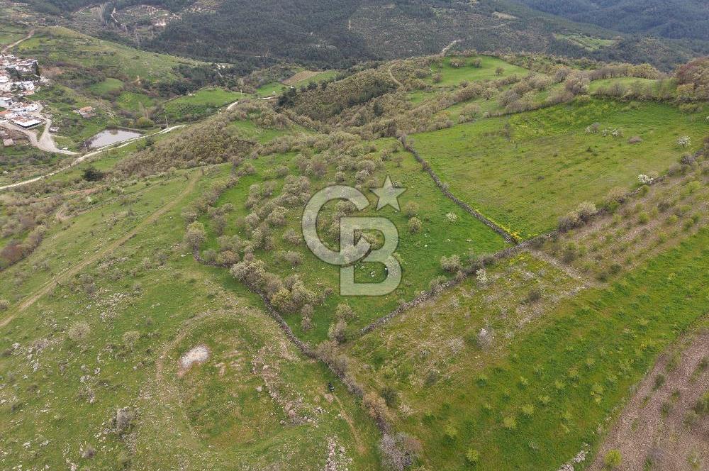 ALİAĞA KÖRFEZİ MANZARALI, ÖZEL KONUM, 15.280 M² YATIRIMLIK TARLA