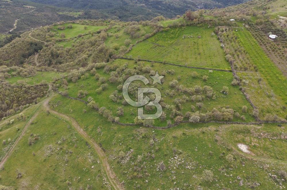 ALİAĞA KÖRFEZİ MANZARALI, ÖZEL KONUM, 15.280 M² YATIRIMLIK TARLA